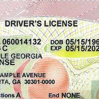 ga license renewal georgia drivers cost driver other term class